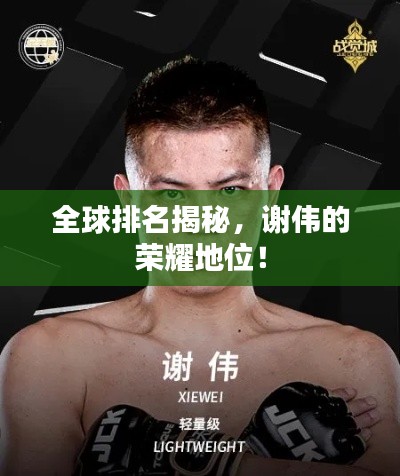 全球排名揭秘，谢伟的荣耀地位！