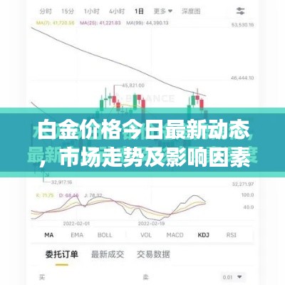 白金价格今日最新动态，市场走势及影响因素深度解析